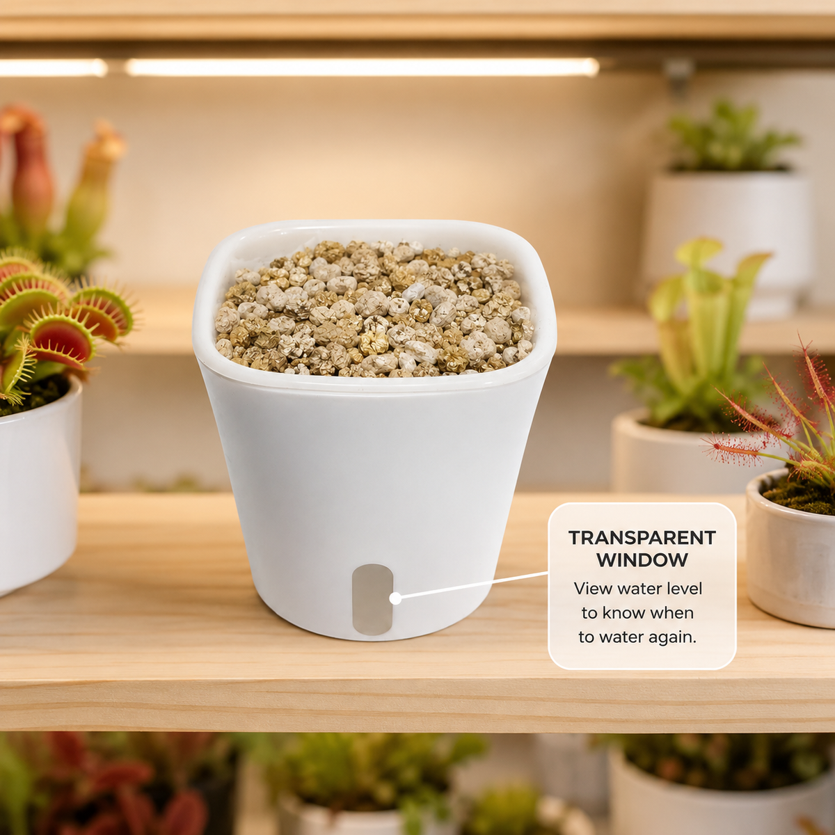 3″ Self-Watering Pot (Single Ping)