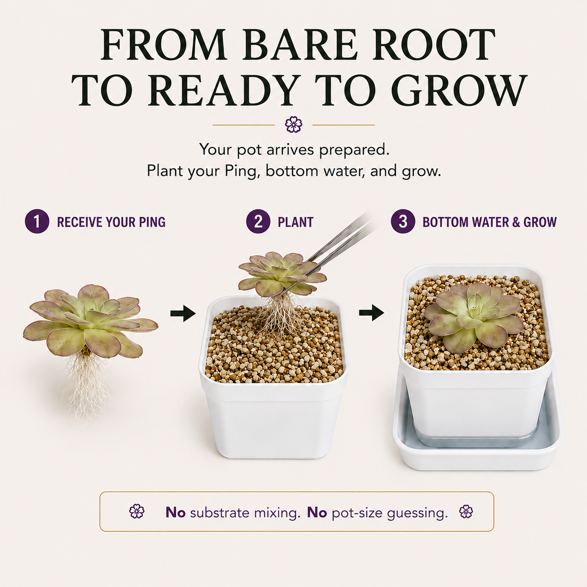 Ready-Made Pot Add-On (Grower-Prepared)