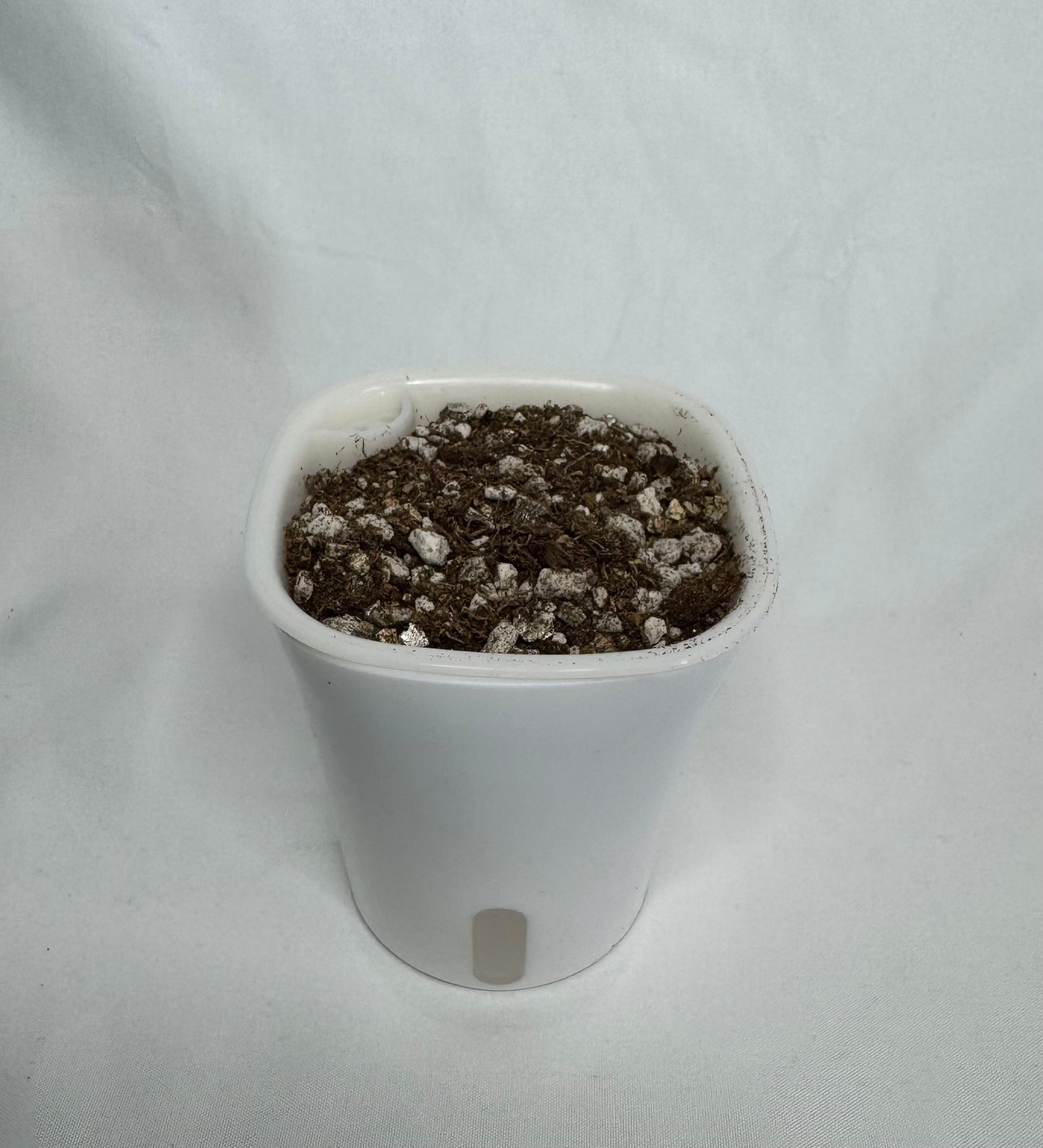 3″ Self-Watering Pot (Single Ping)