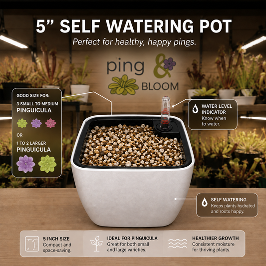 5″ Self-Watering Pot (Multiple Pings)