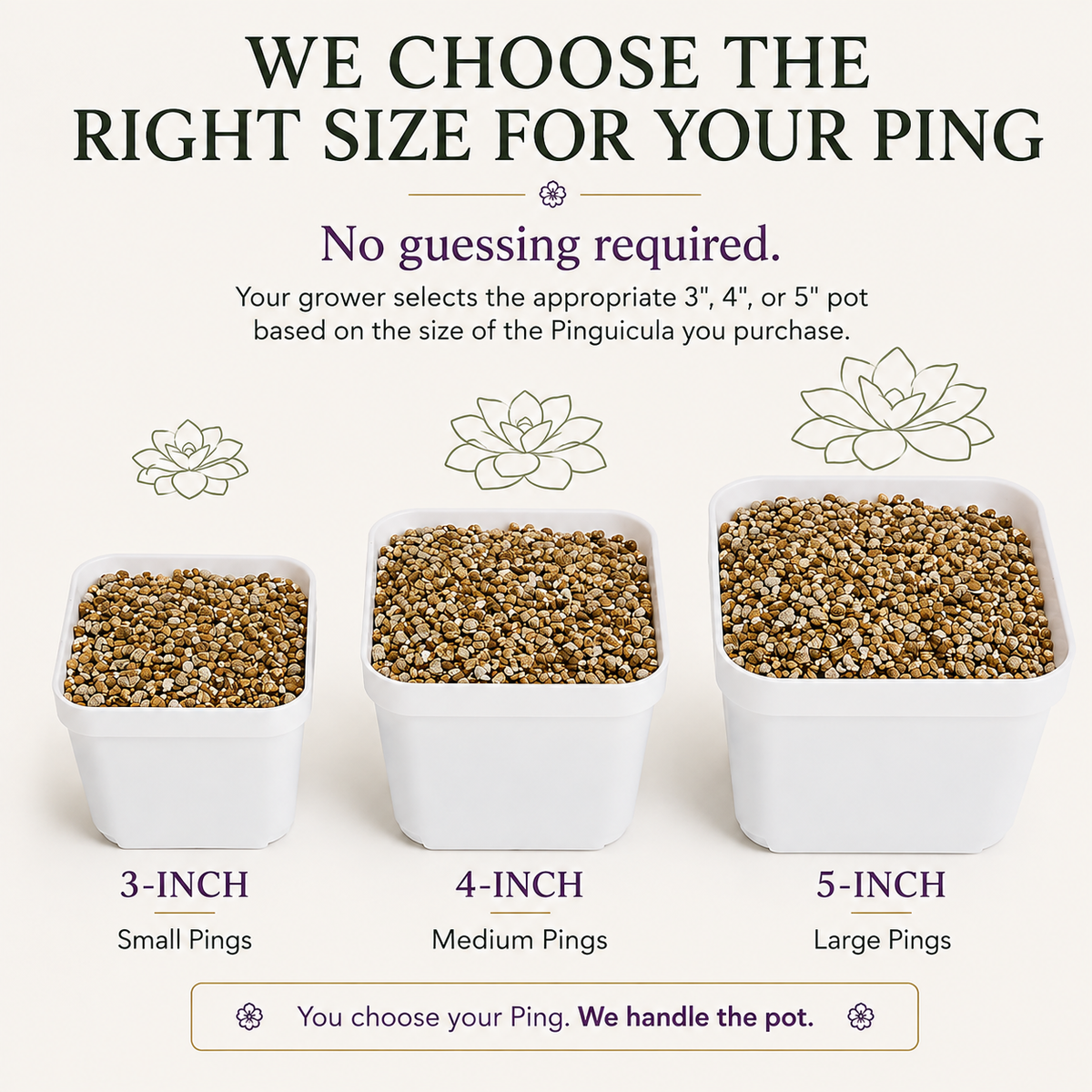Ready-Made Pot Add-On (Grower-Prepared)