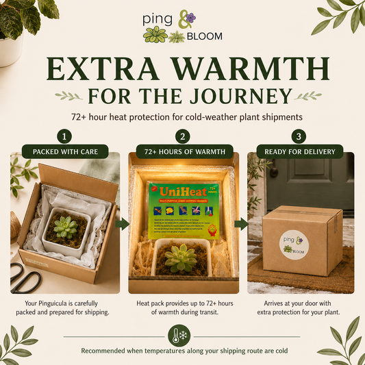 72-Hour Heat Pack for Live Plant Shipping | Winter Protection Add-On
