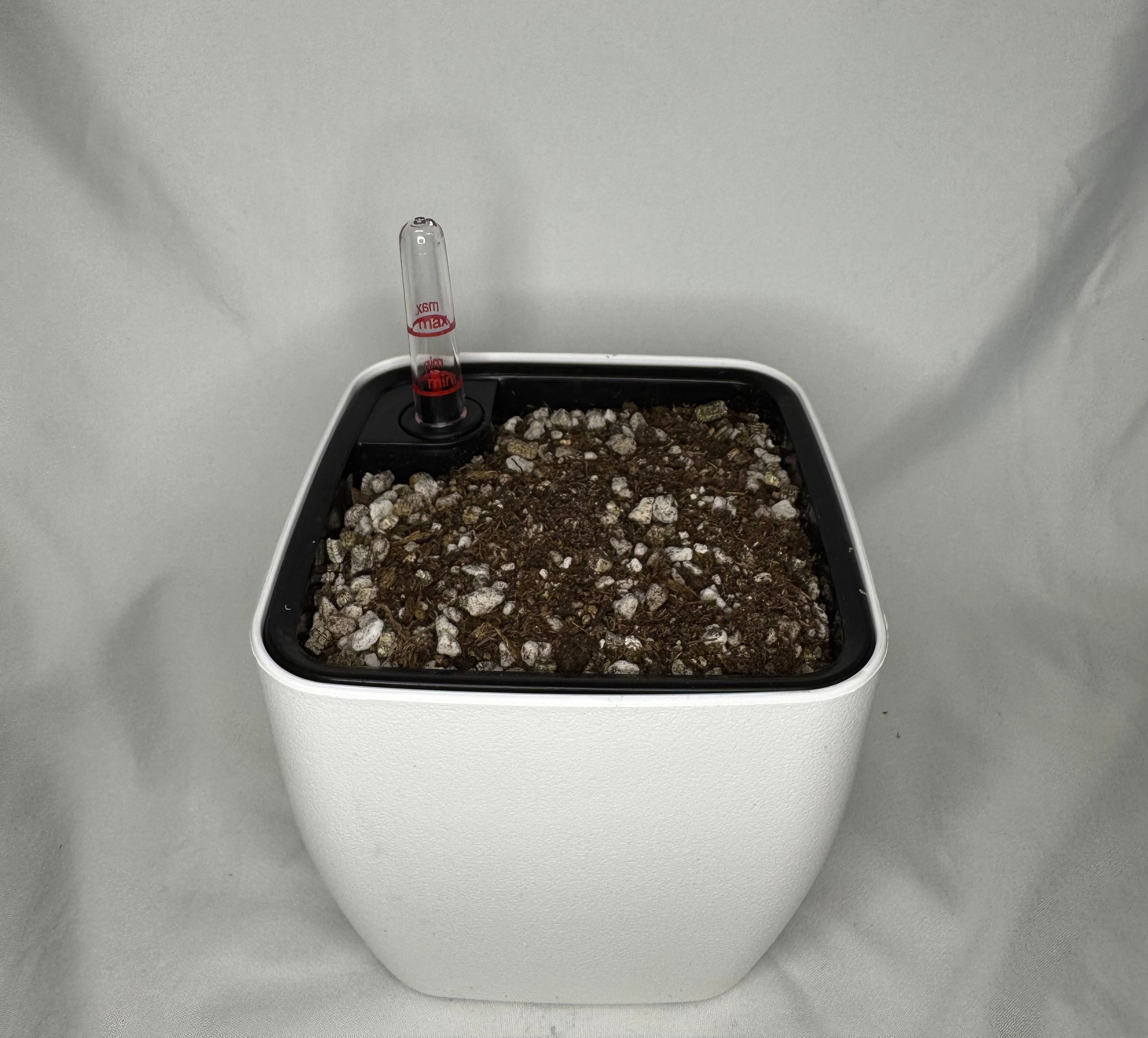 5″ Self-Watering Pot (Multiple Pings) – Ping & Bloom